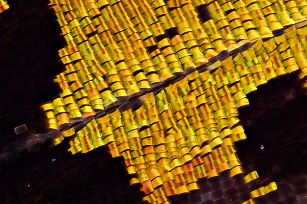 Closeupphotography - Scanner Nikkor ED 7 Element Lens-1746814207549.png