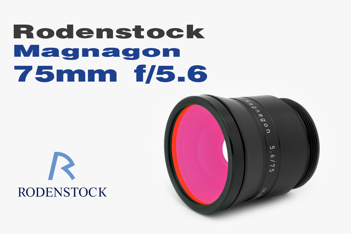 Pasted image 20250217015015.png